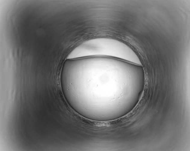 X0000093750415200710160814