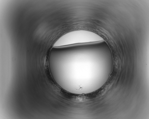 X0000093750420200710160814
