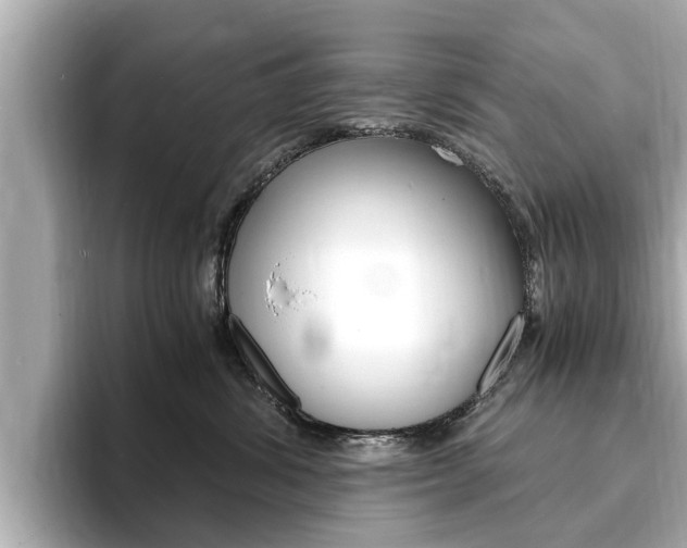 X0000093750428200710160814