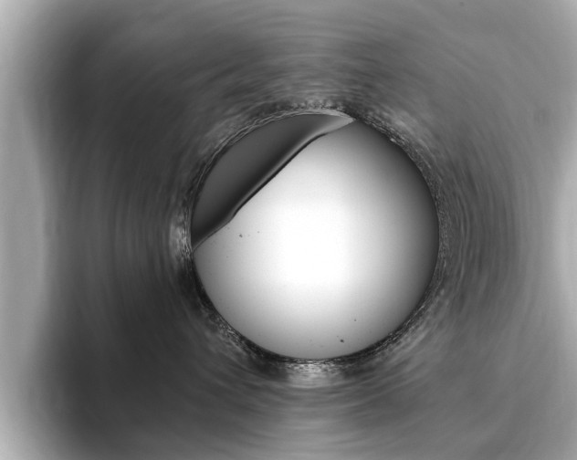 X0000093750432200710160814