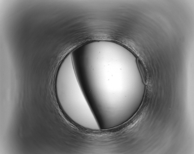 X0000093750433200710160813