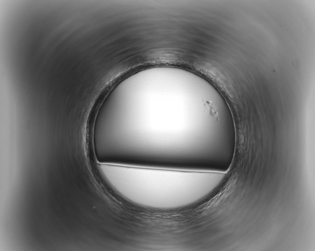 X0000093750439200710160813
