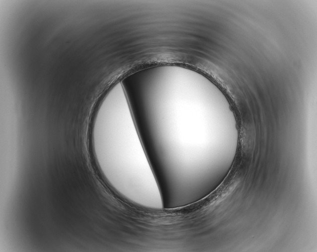 X0000093750445200710160813