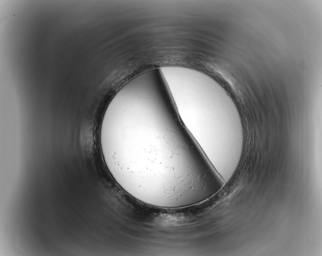 X0000093750455200710160814