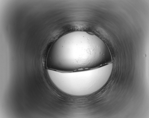 X0000093750456200710160814