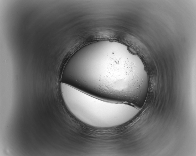 X0000093750457200710160814