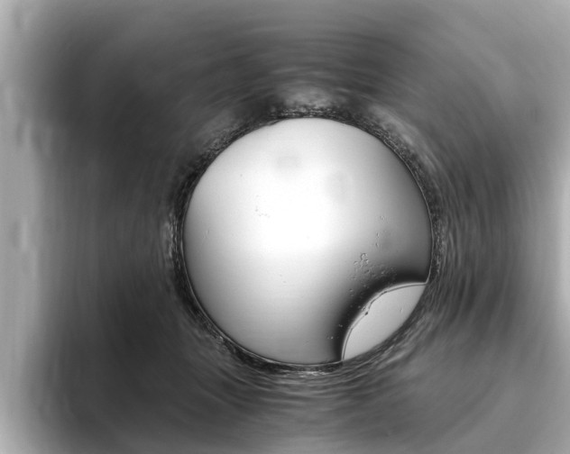 X0000093750463200710160814