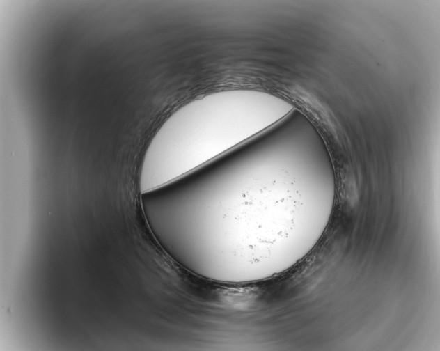 X0000093750465200710160814
