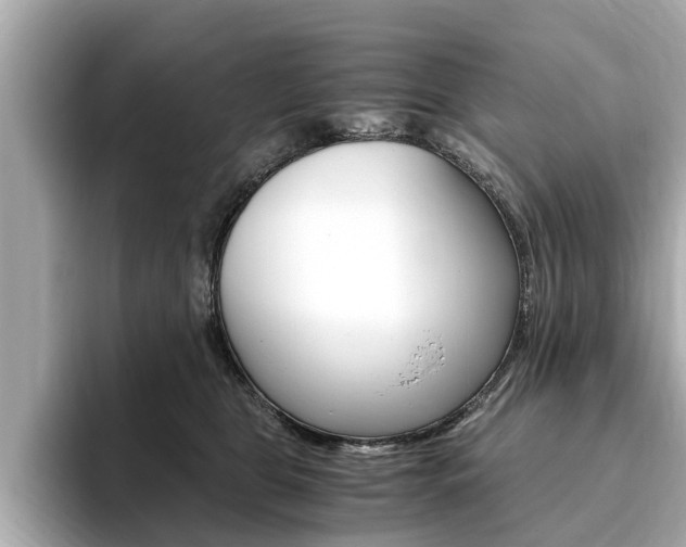 X0000093750469200710160814