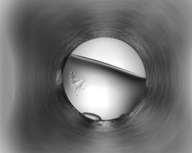 X0000093750478200710160814