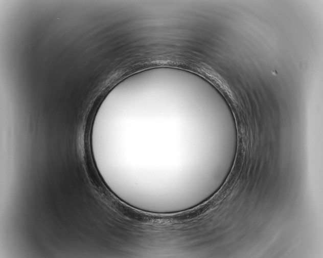 X0000093750482200710160813