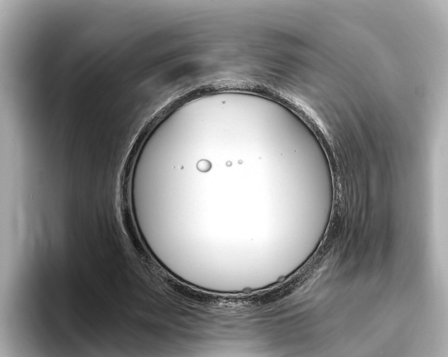 X0000093750487200710160813