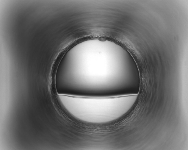 X0000093750488200710160813
