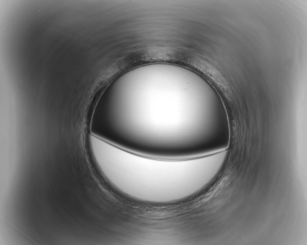 X0000093750489200710160813