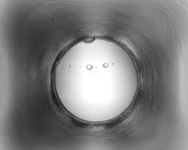 X0000093750491200710160813