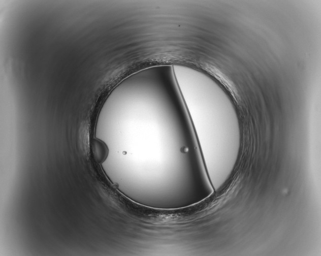 X0000093750493200710160813