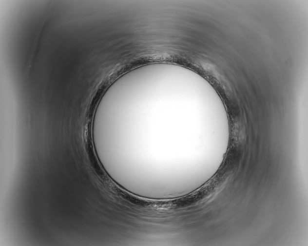 X0000093750495200710160813