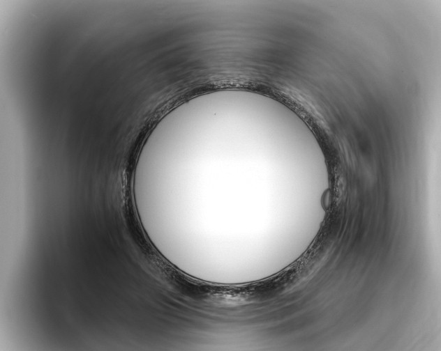 X0000093750498200710160813