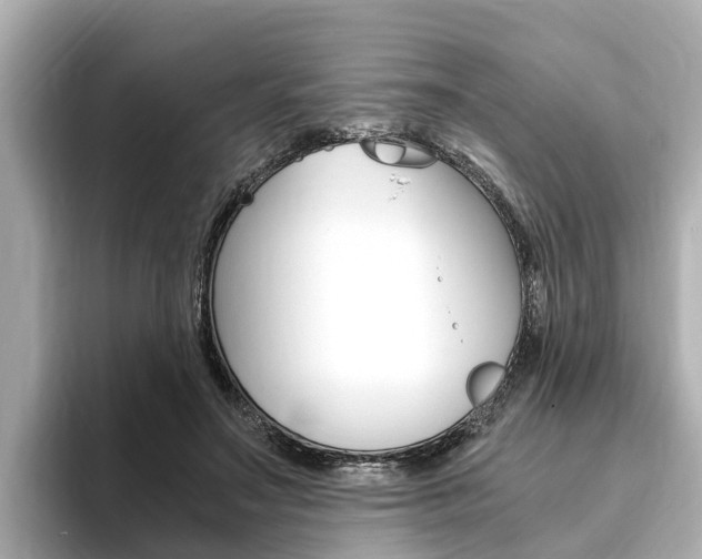 X0000093750499200710160813