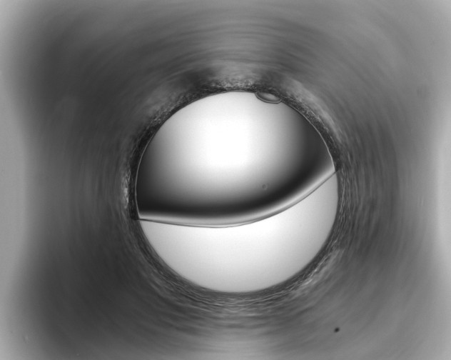 X0000093750501200710160813