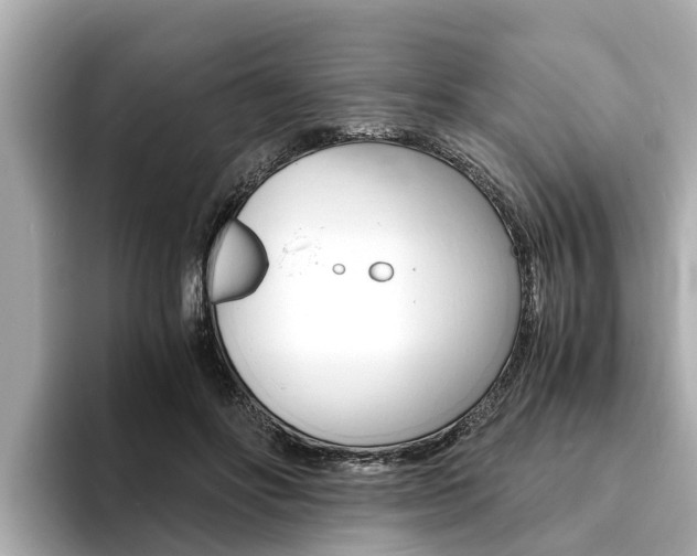 X0000093750502200710160813