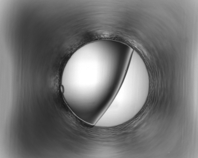 X0000093750509200710160813