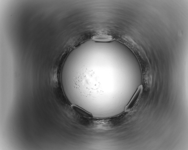 X0000093750516200710160813