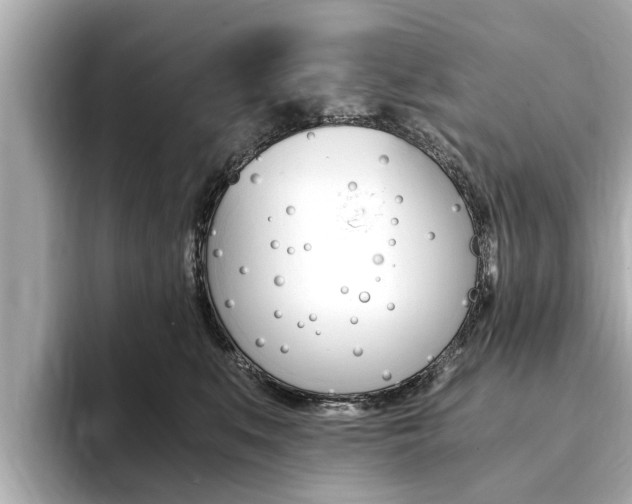 X0000093750519200710160813