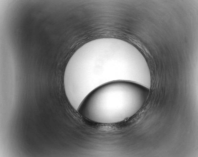 X0000093750521200710160813