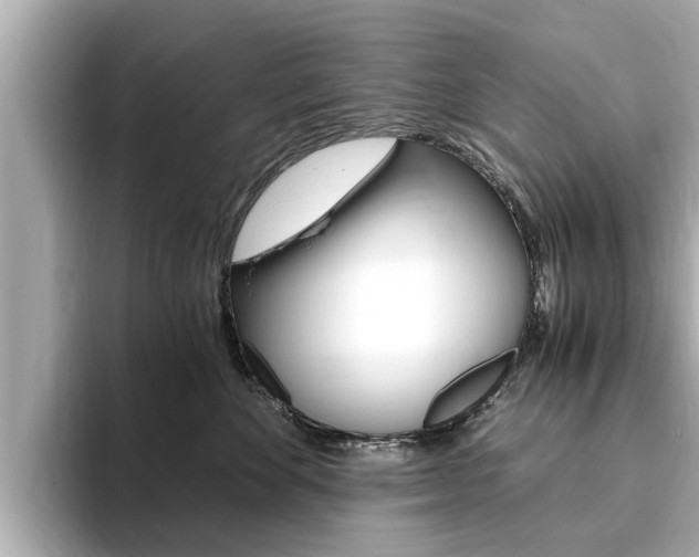 X0000093750524200710160813