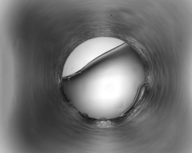 X0000093750525200710160813