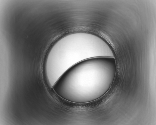 X0000093750538200710160812