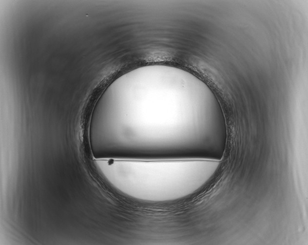X0000093750539200710160812