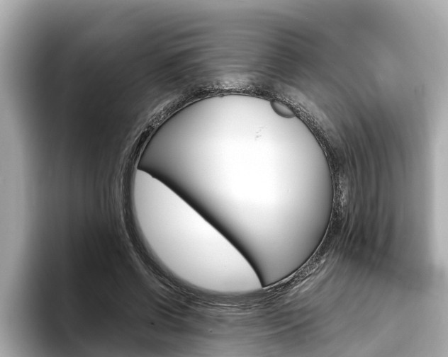 X0000093750542200710160812