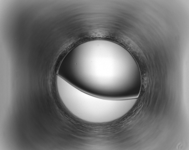 X0000093750544200710160812