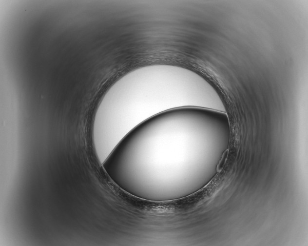 X0000093750546200710160812