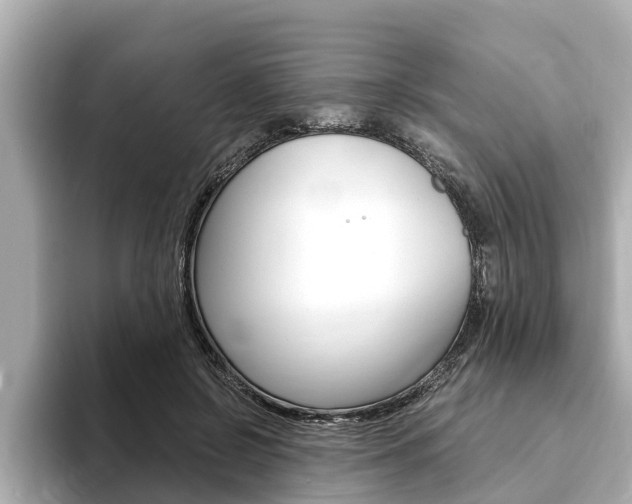 X0000093750550200710160812