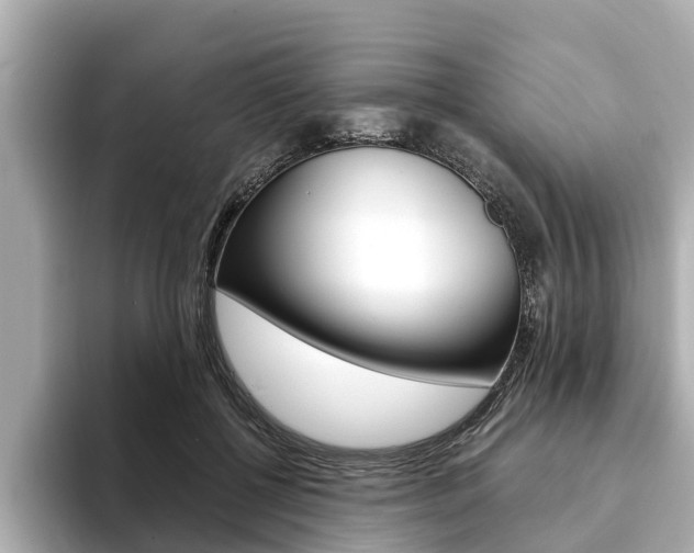 X0000093750552200710160812