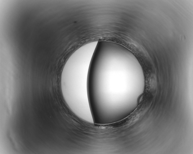X0000093750558200710160812