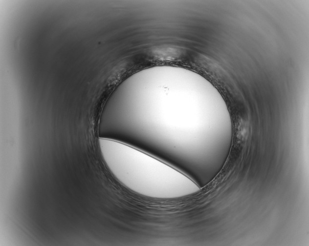 X0000093750559200710160812