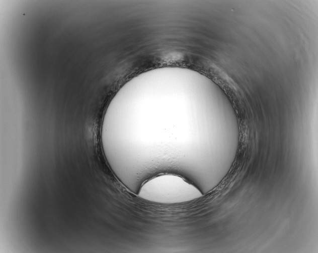 X0000093750565200710160813