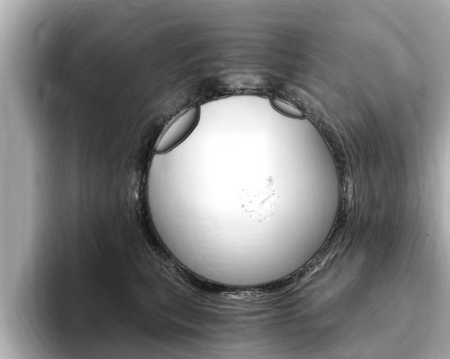 X0000093750567200710160813