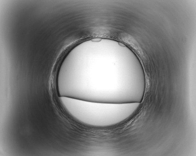 X0000093750583200710160812