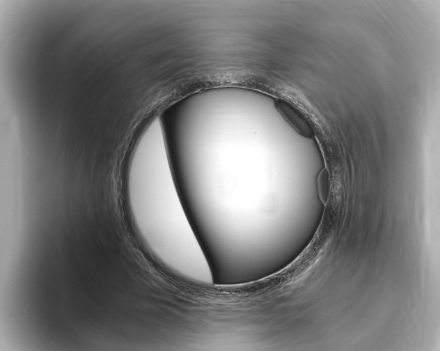 X0000093750585200710160812