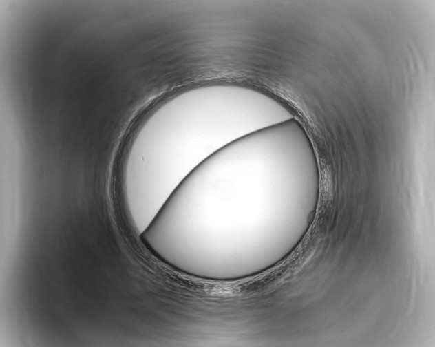 X0000093750587200710160812