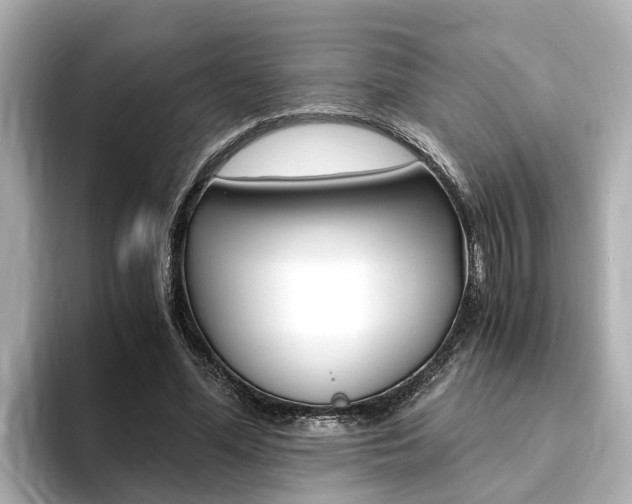 X0000093750588200710160812