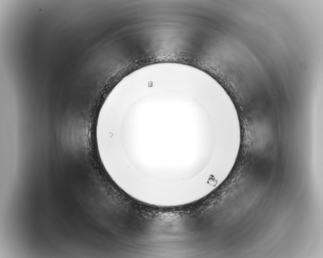 X0000093750592200710160812