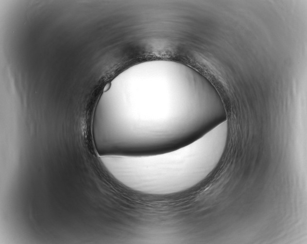 X0000093750595200710160812