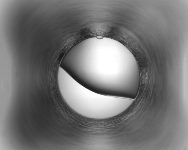 X0000093750599200710160812