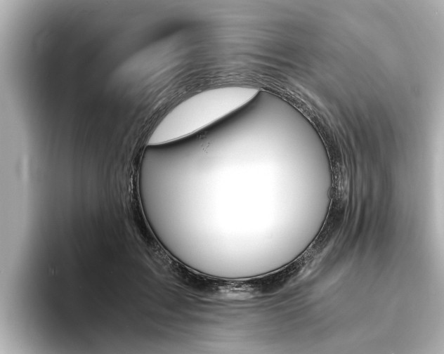 X0000093750603200710160812